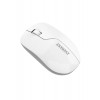 Everest SMW-973 USB 2.4 Ghz Kablosuz Mouse