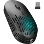 Everest SM-W73 DUAL Mode İkisi Bir Arada Siyah Mouse