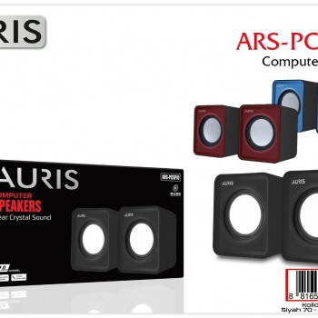 AURIS BİLGİSAYAR HOPARLÖRÜ 1+1 PCSP10